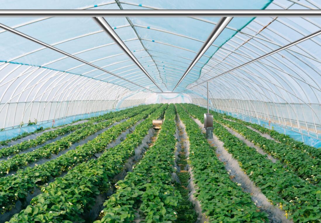 溫室大棚中使用臭氧發生器需要注意哪些問題(圖1)